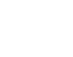 Logo Qolsys